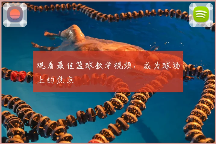 观看最佳篮球教学视频,成为球场上的焦点