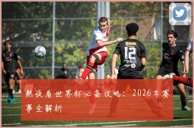熬夜看世界杯必备攻略:2026年赛事全解析